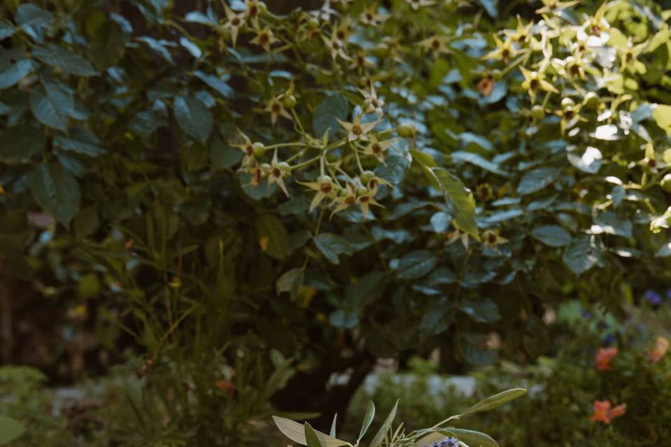 Bouquet de mariée provençal