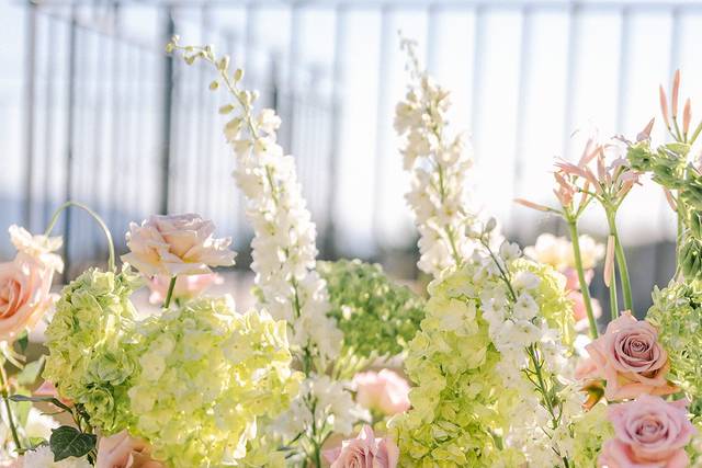Fleurs