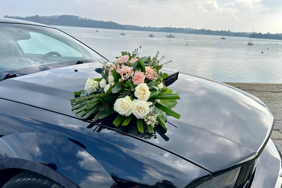 Ventouse voiture