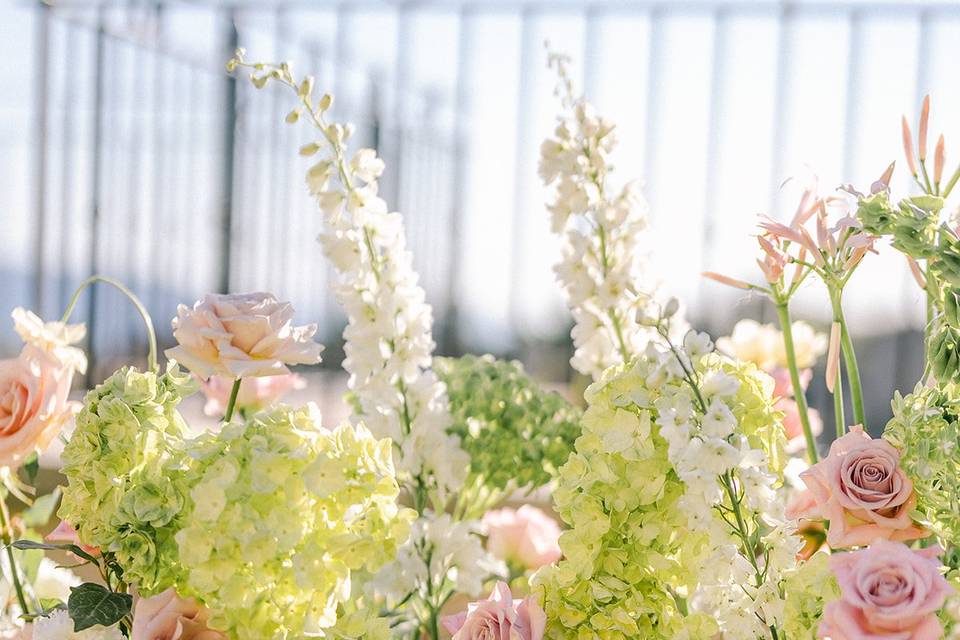 Fleurs