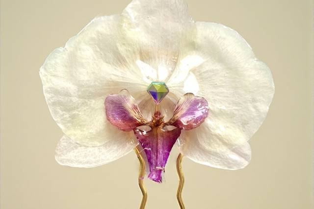 Épingle Orchidée
