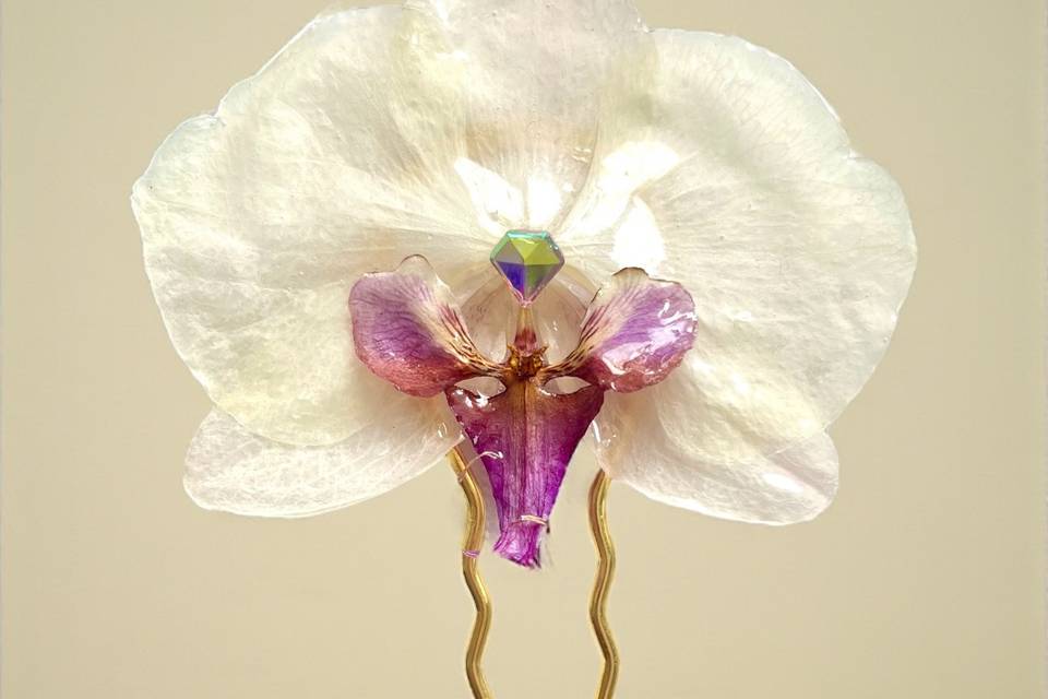 Épingle Orchidée
