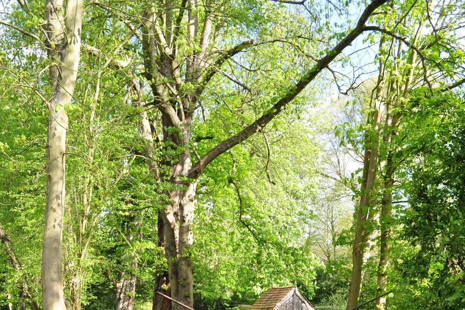 Château de Bacqueville en Caux