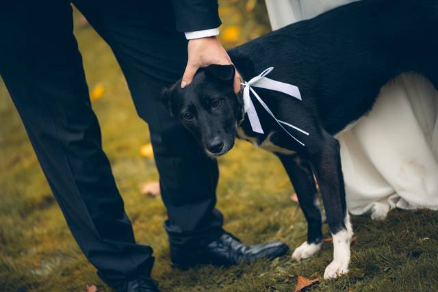 L’amour sous toutes ses formes