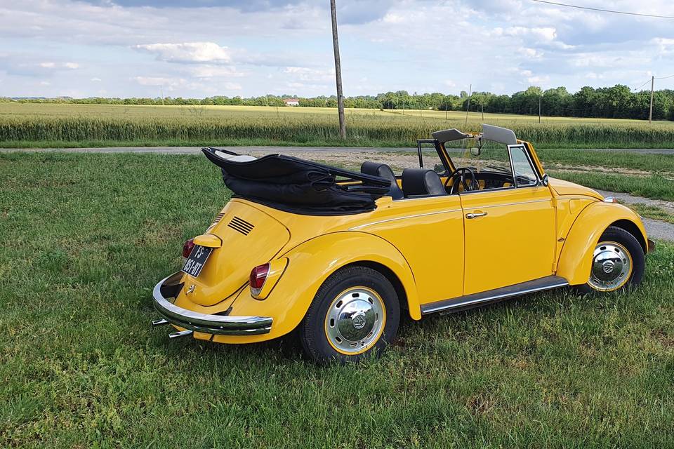 cox cabriolet