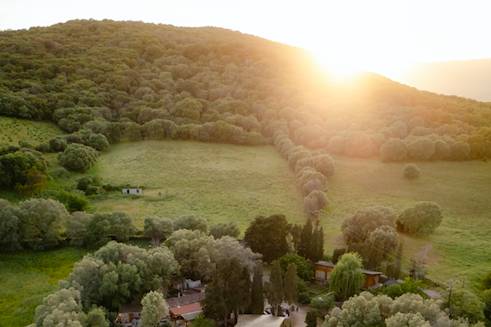 Domaine