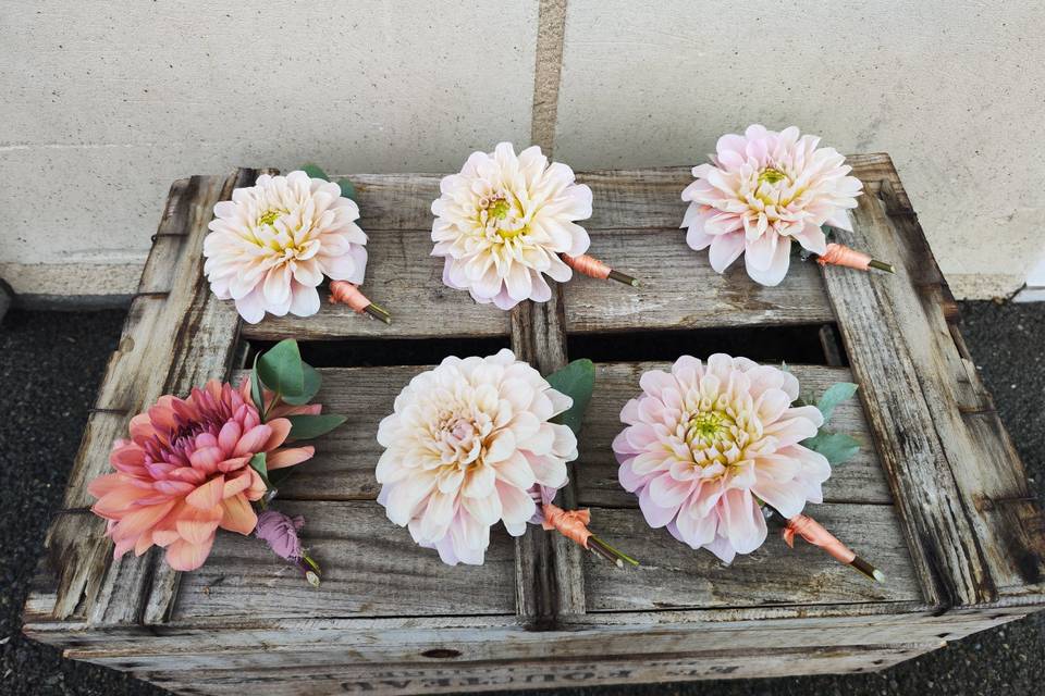Au Jardin des 2 Clochers