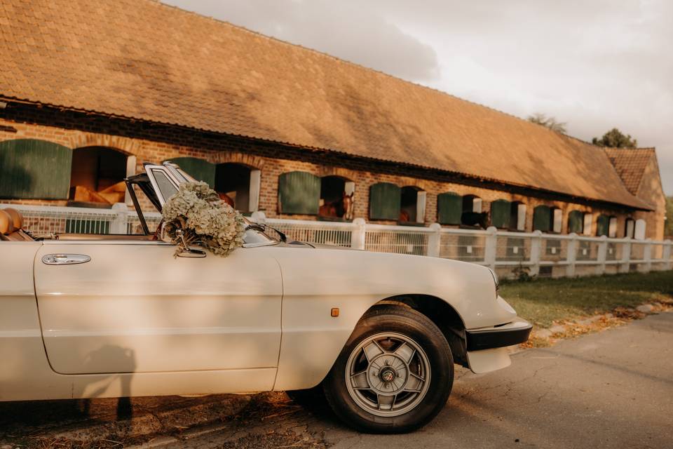 Alfa Spider cabriolet 1983