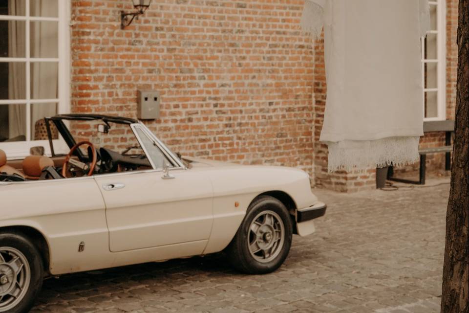 Alfa Spider cabriolet 1983