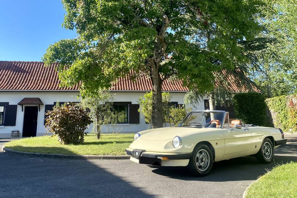 Alfa Spider cabriolet 1983