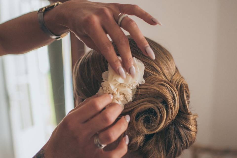 Chignon