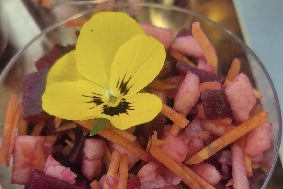 Salade fraîcheur