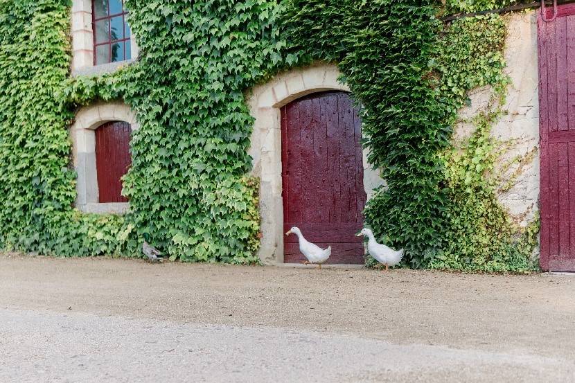 Loggia du petit déjeuner