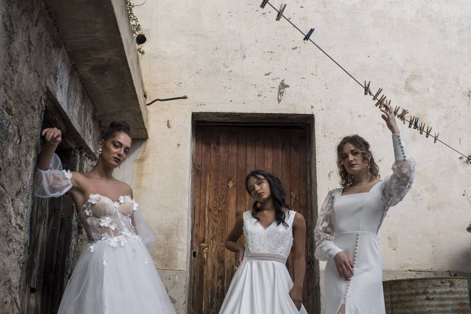 Marguerite-Stella-Violette