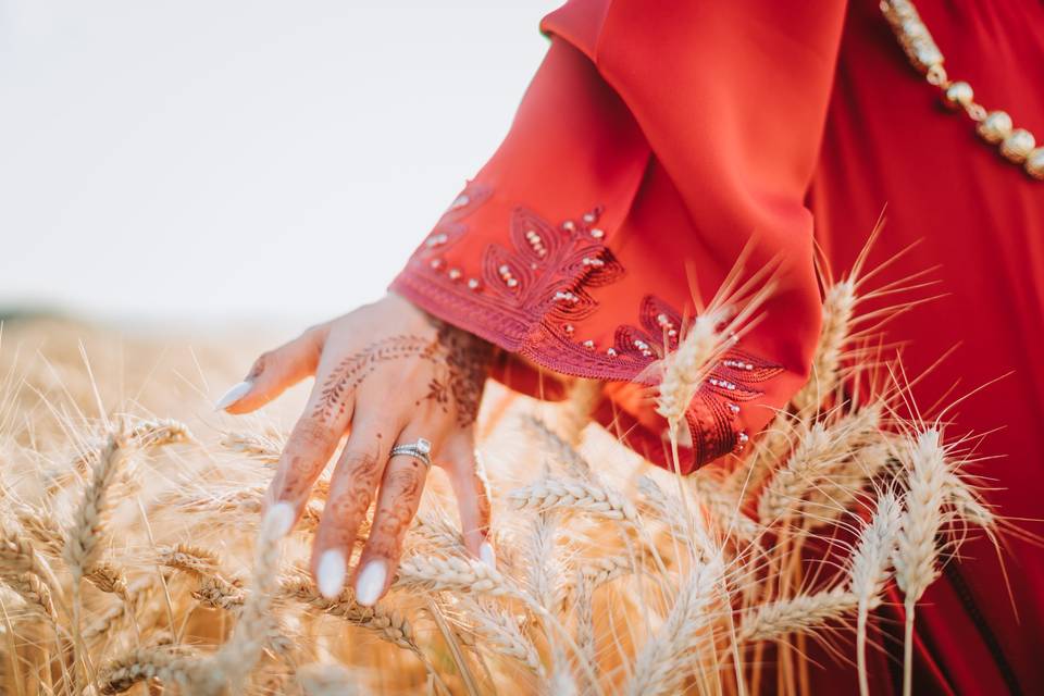 Photographies de Mariages