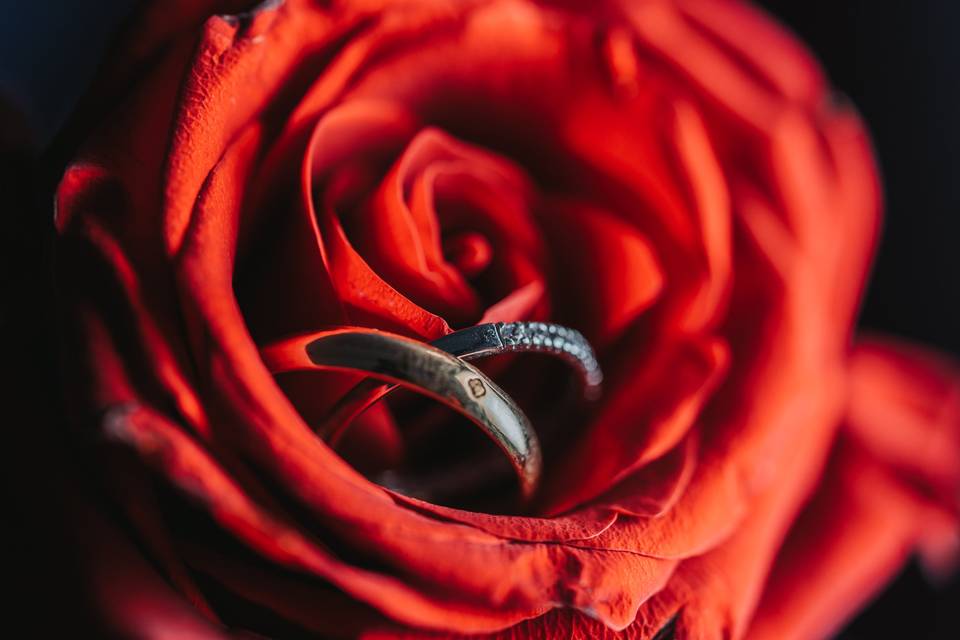 Photographies de Mariages
