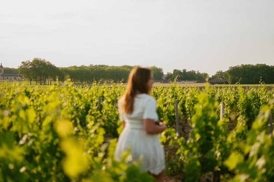 Vignes environnantes