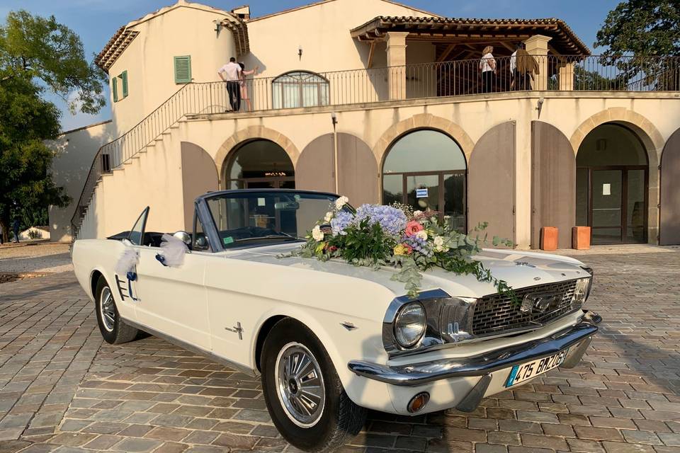 MUSTANG 1966 VO CAB