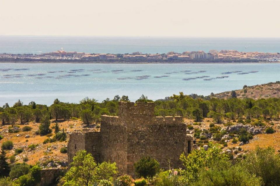 La bergerie du Château de Fitou