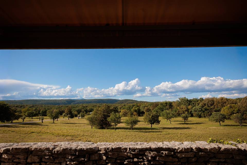 Paysage
