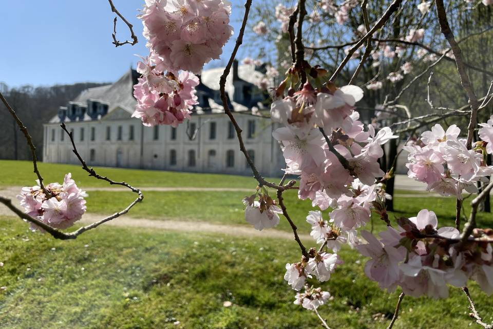 Abbaye du Valasse - mai 2018 - ©Caux Seine Tourisme (1)