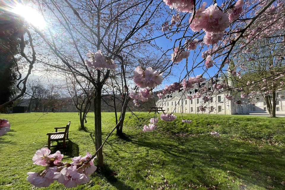 Abbaye du Valasse