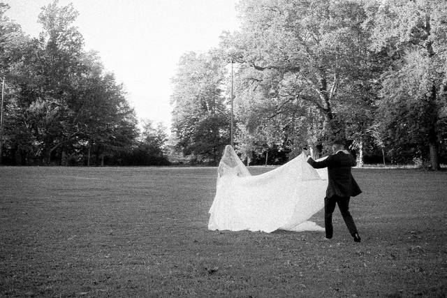 Plume Pictures