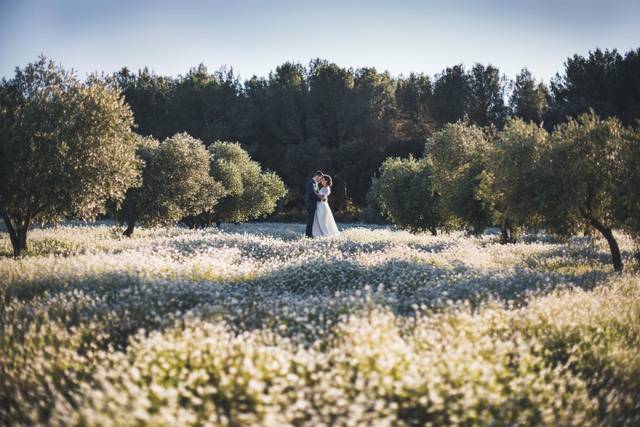 Sarah Glavan Photographe