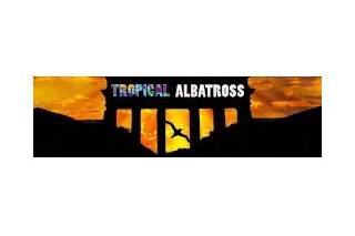 Tropical Albatross