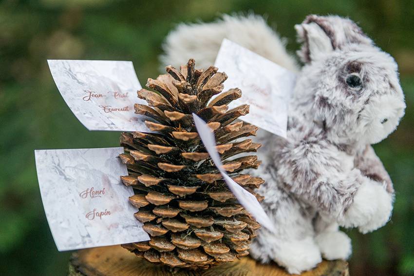 Escort cards