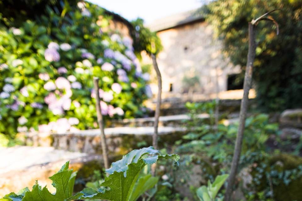 Potager