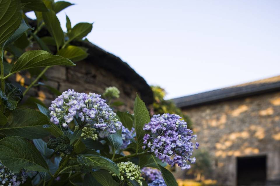 Les Maisons du Salvignol