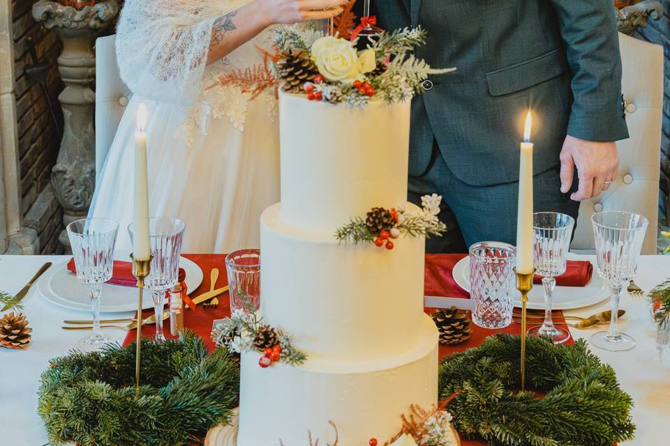 T&N wedding cake