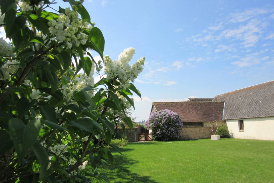 Jardin  pour Vin d'Honneur