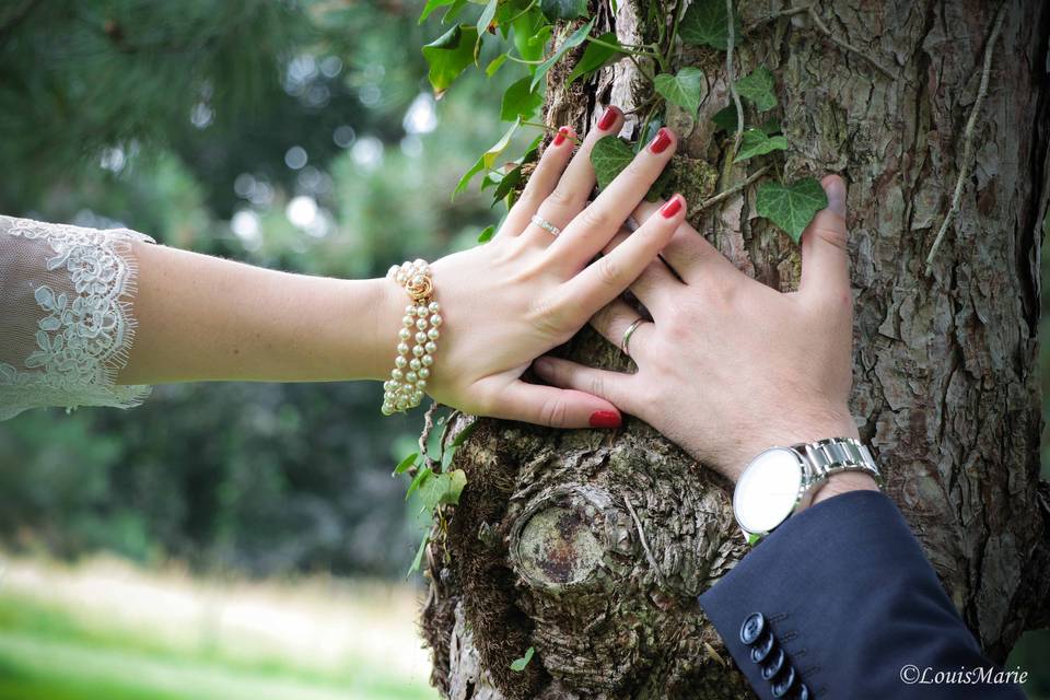 L'arbre de l'amour