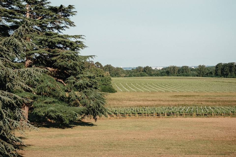 Château Eudes Metivier