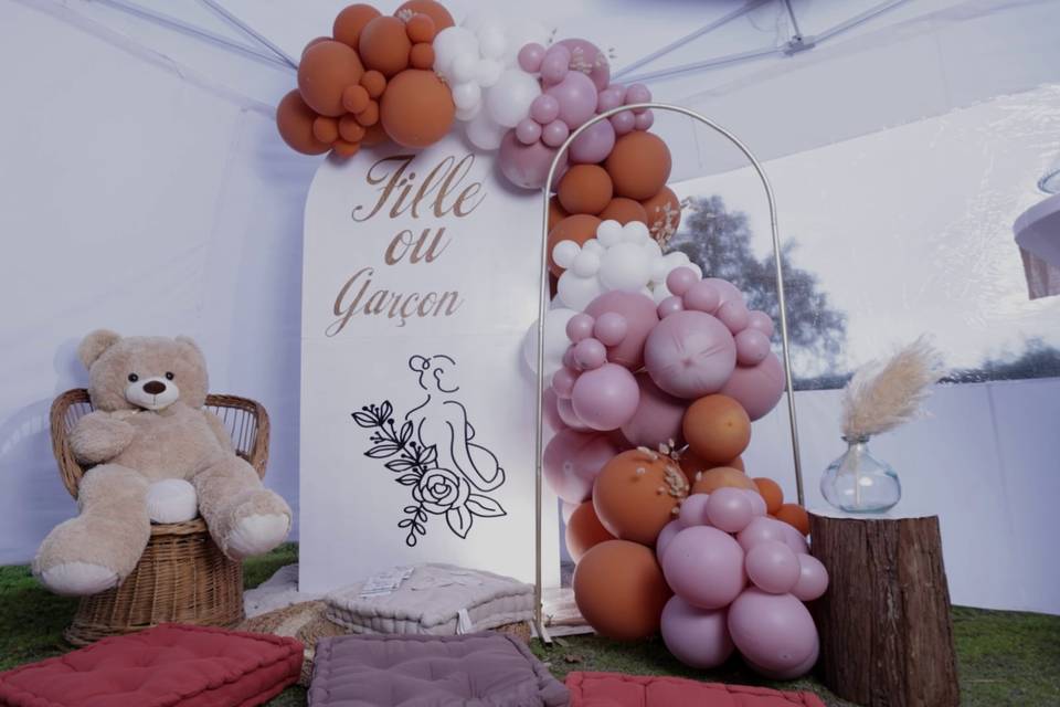 Arche de notre balloondesigner
