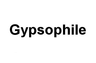 Gypsophile
