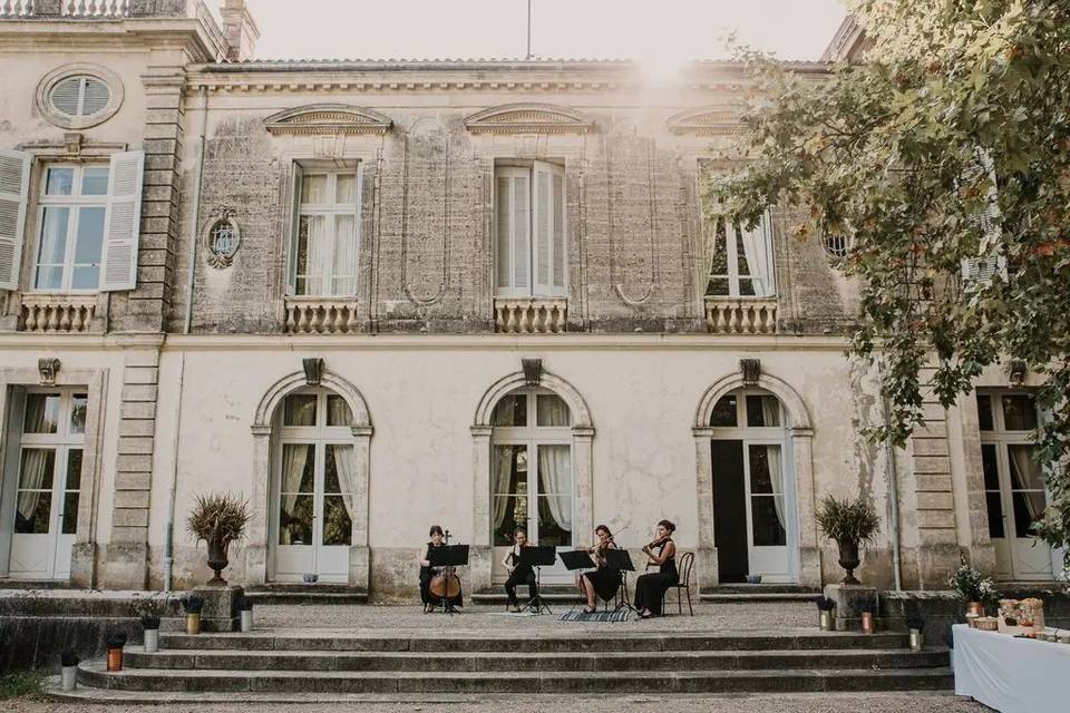 Quatuor en Cévennes