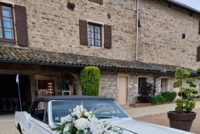 Décor de voiture
