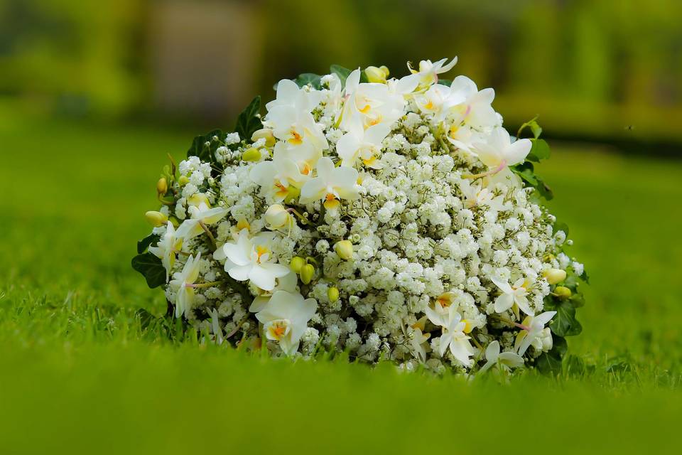 Bouquet gypsophyle