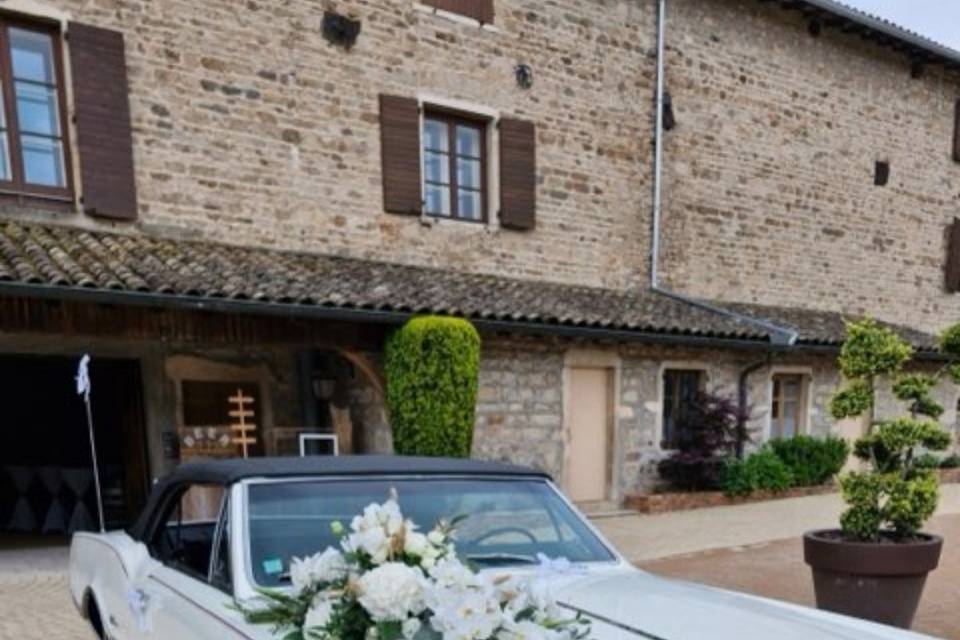 Décor de voiture