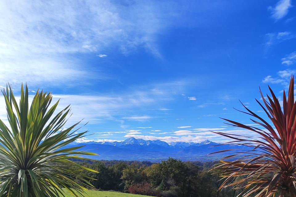 La vue sur les Pyrénées