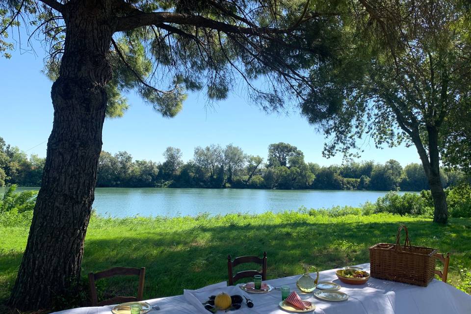 Abords du Petit Rhône