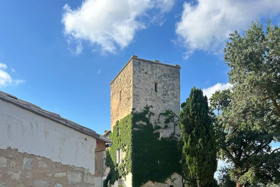 Terrasse 2 du Mazet