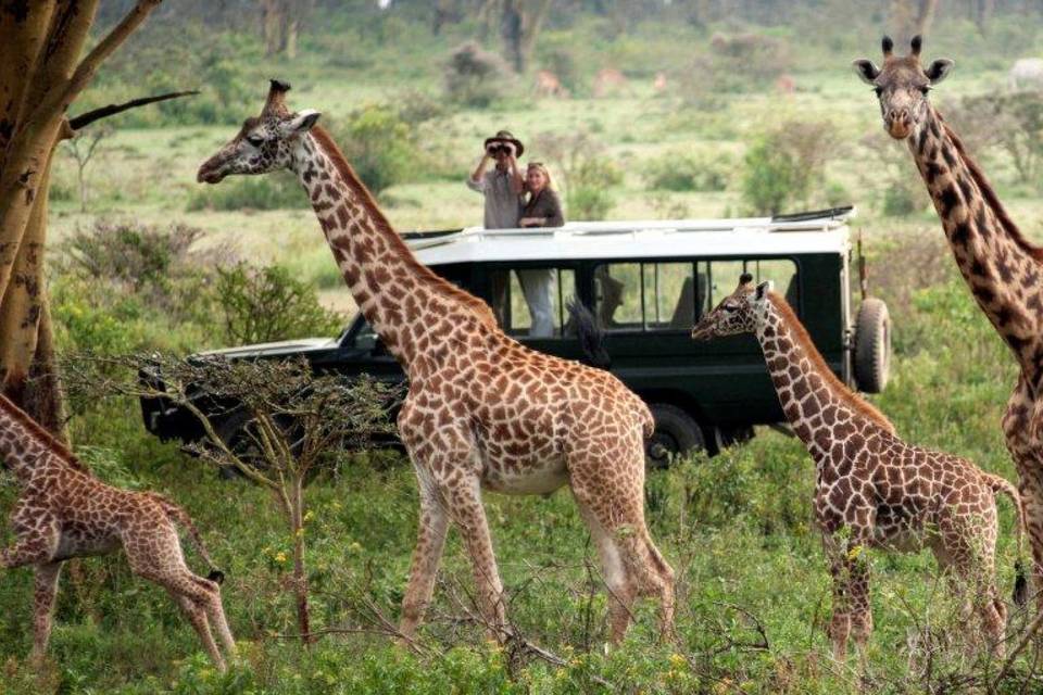 Private Travel by Rachida