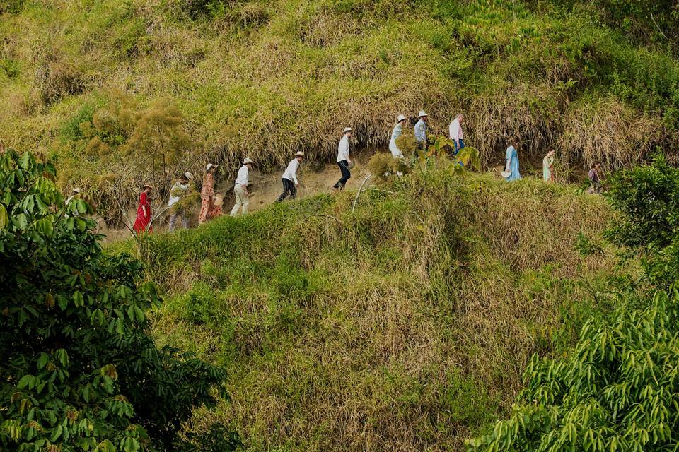 Mariage dans la nature