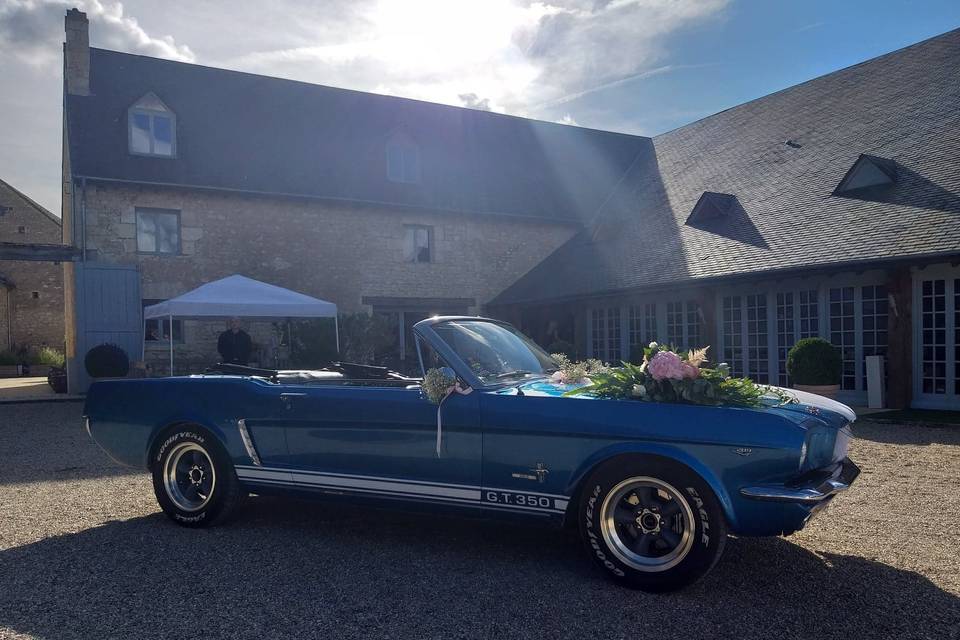 Ford mustang 1965 cabriolet