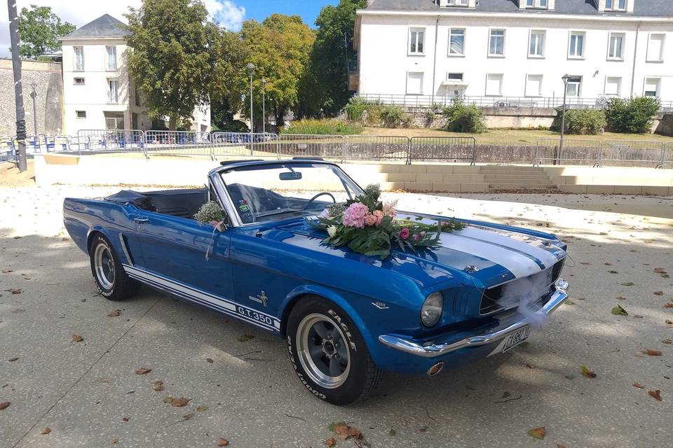 Ford mustang 1965 cabriolet