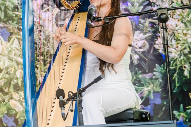 Harpe celtique